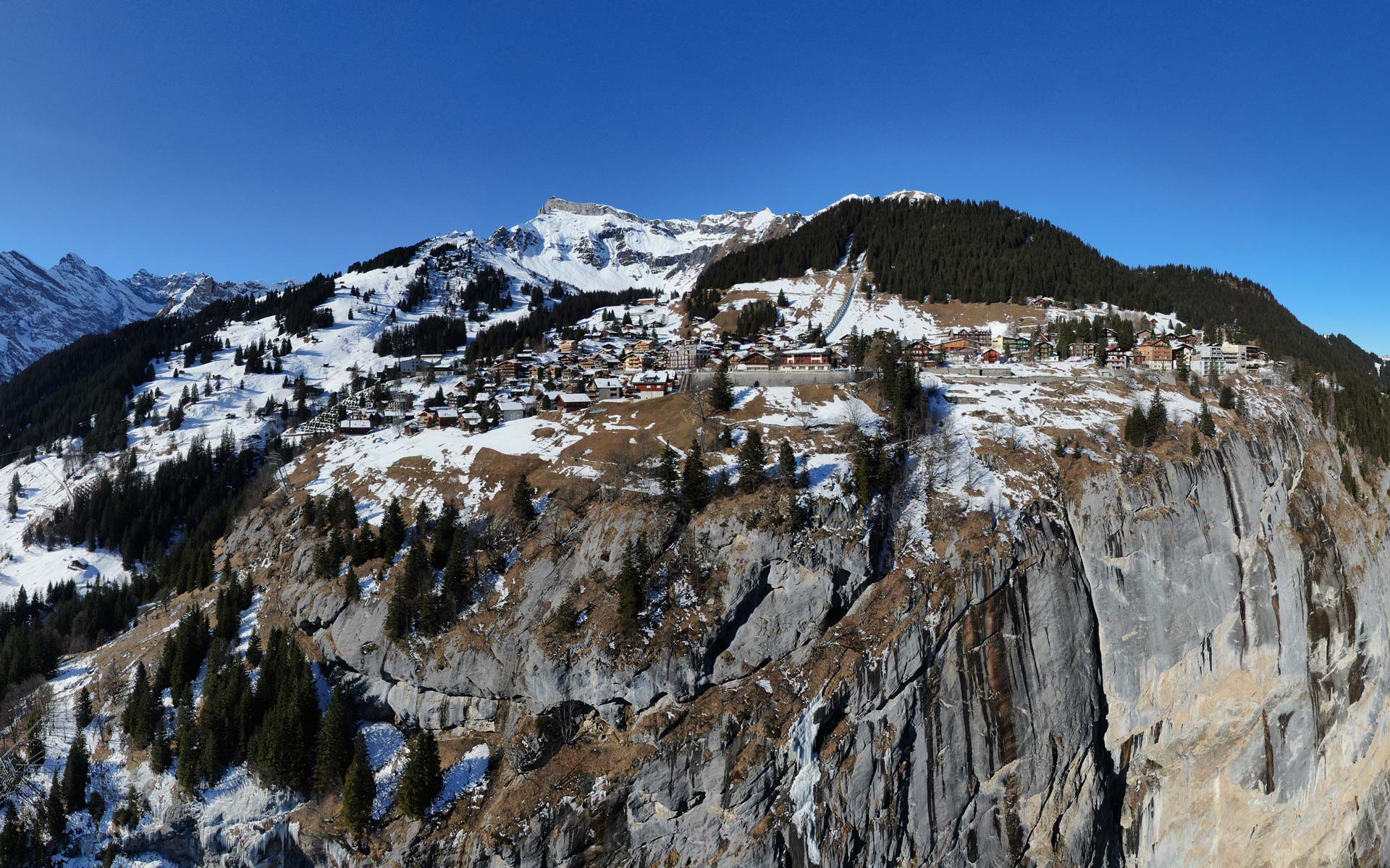 Portfolio Thumbnail Image